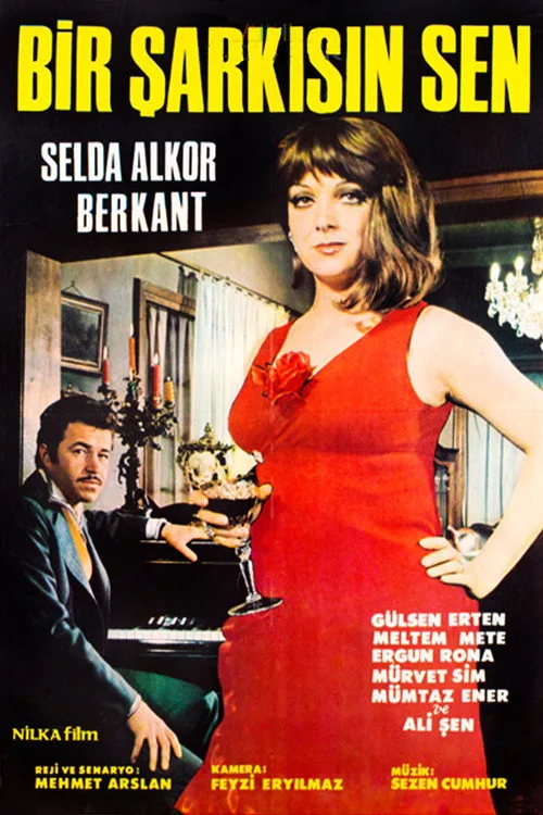 Bir Şarkısın Sen film posteri