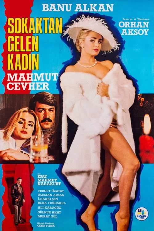 Sokaktan Gelen Kadın film posteri