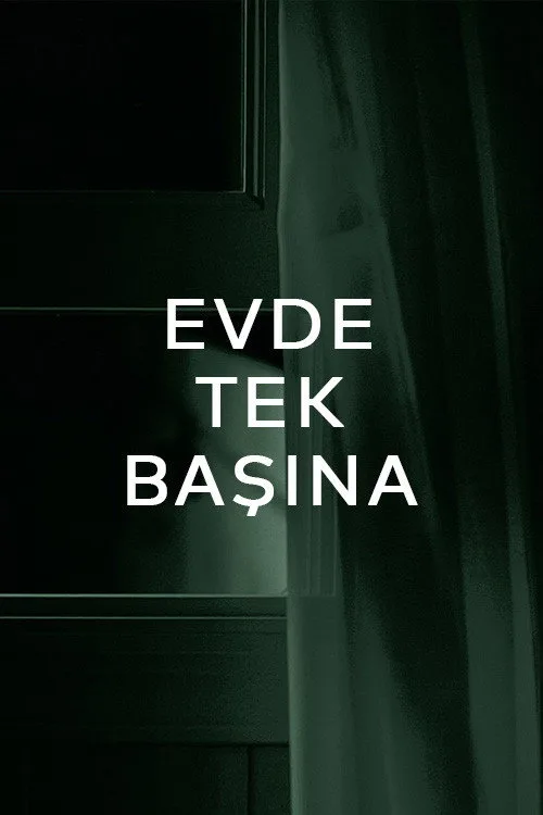 Evde Tek Başına dizi posteri