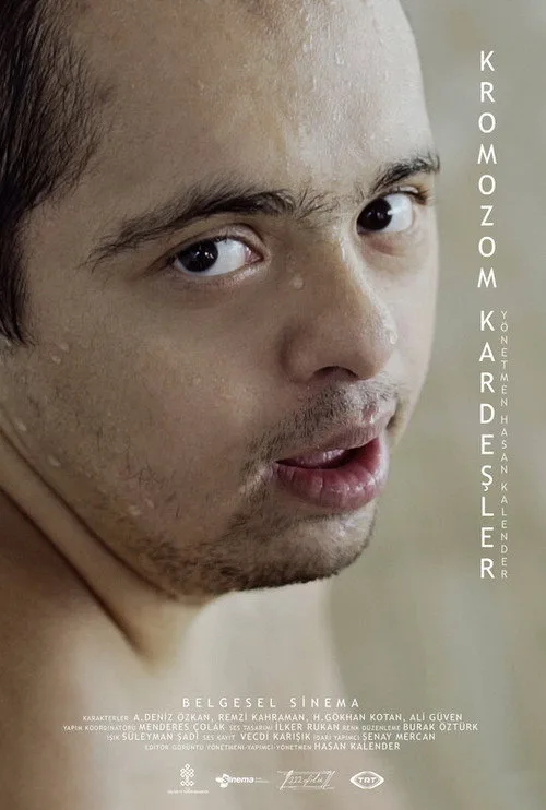 Kromozom Kardeşler film posteri