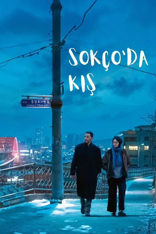Sokço'da Kış film posteri