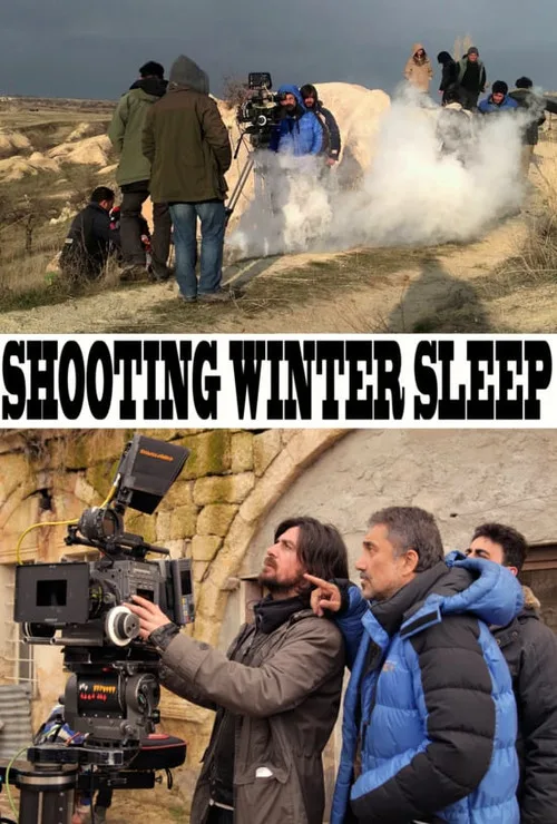 Kış Uykusunu Çekmek film posteri