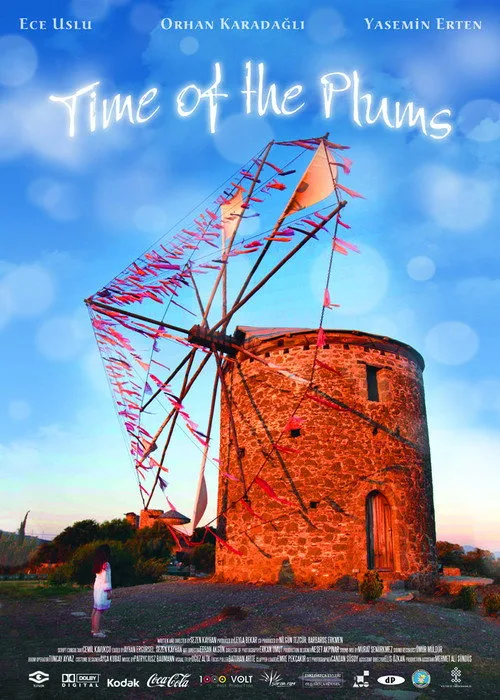 Erik Zamanı film posteri