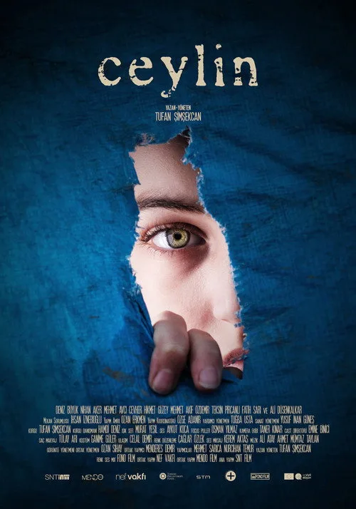 Ceylin film posteri