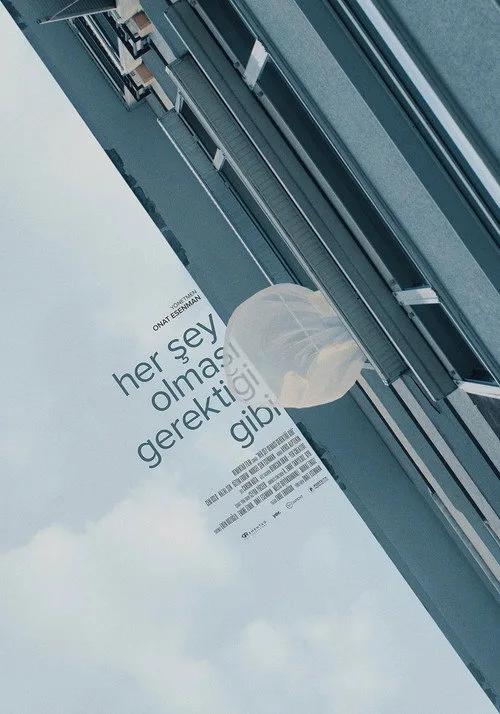 Her Şey Olması Gerektiği Gibi film posteri