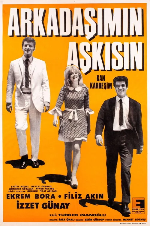Arkadaşımın Aşkısın film posteri