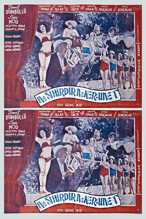 Ne Sihirdir Ne Keramet film posteri
