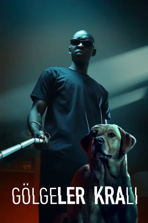 Gölgeler Kralı film posteri