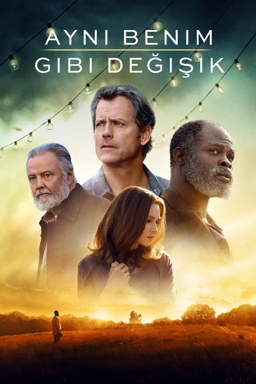 Aynı Benim Gibi Değişik film posteri