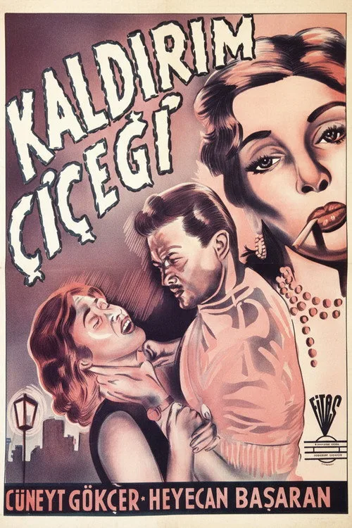 Kaldırım Çiçeği film posteri