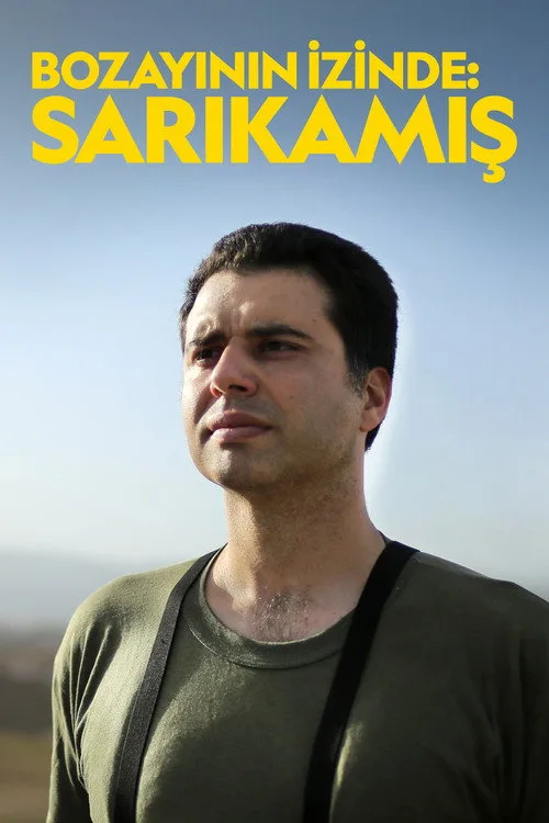 Bozayının İzinde: Sarıkamış film posteri