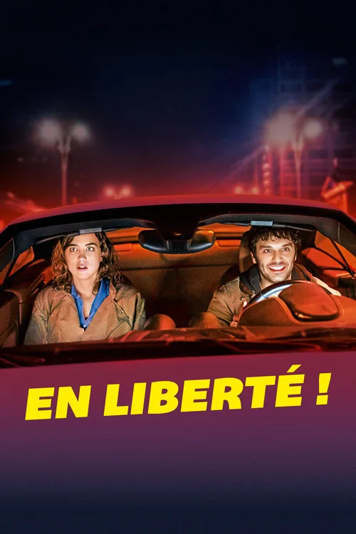 Seninle Başım Dertte film posteri