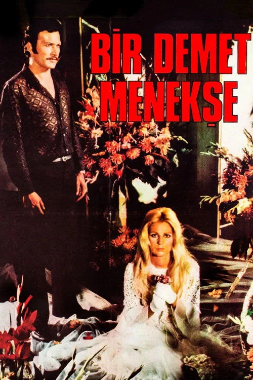 Bir Demet Menekşe film posteri