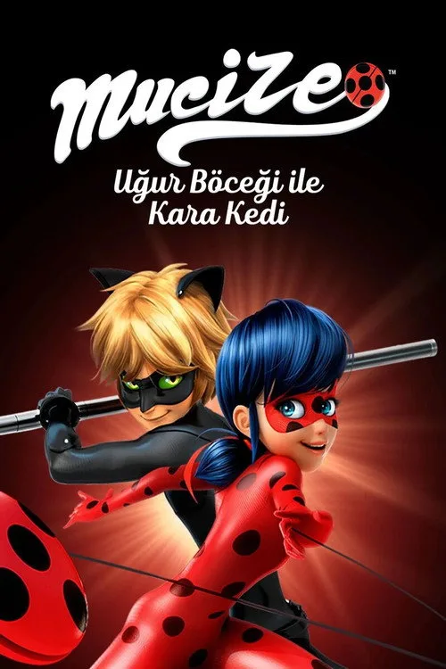 Mucize: Uğur Böceği ile Kara Kedi dizi posteri
