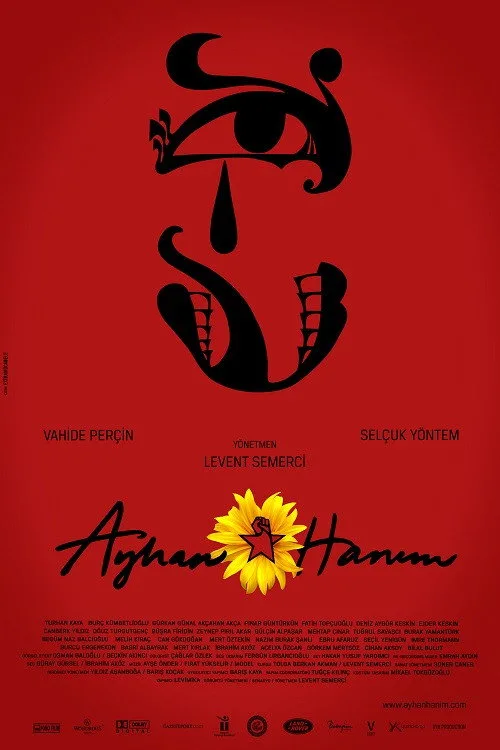 Ayhan Hanım film posteri