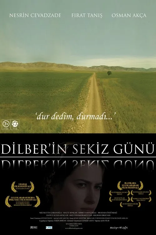 Dilber'in Sekiz Günü film posteri
