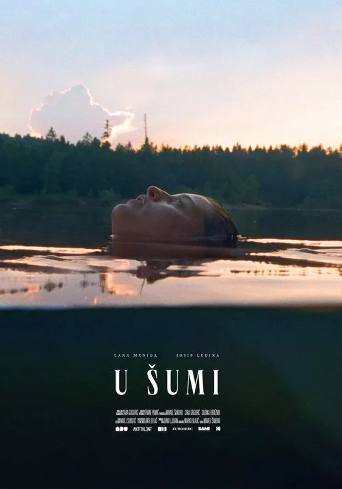 Ormanda film posteri