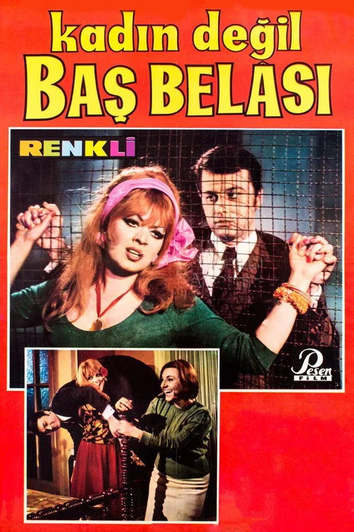 Kadın Değil Baş Belası film posteri