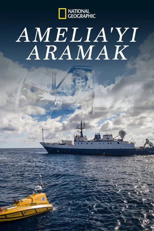 Amelia'yı Aramak film posteri