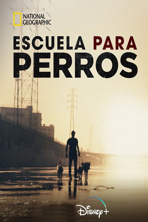 Escuela para perros dizi posteri