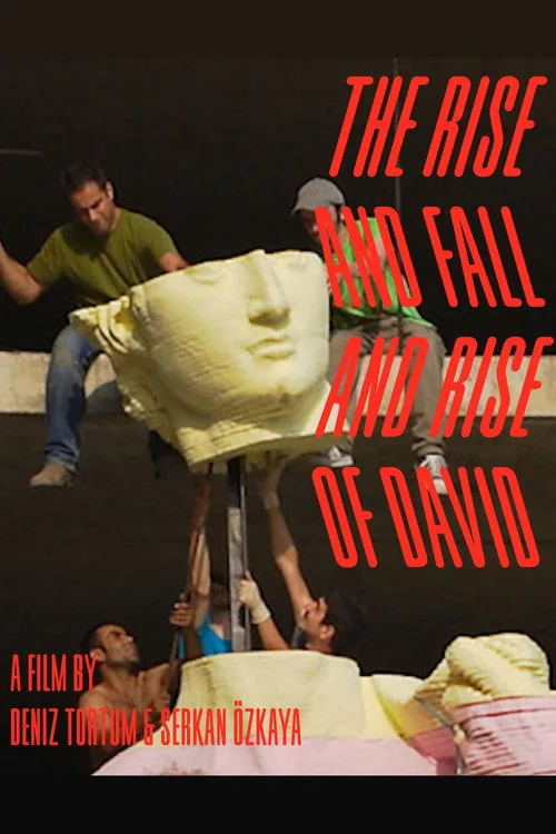 The Rise and Fall and Rise of David film posteri