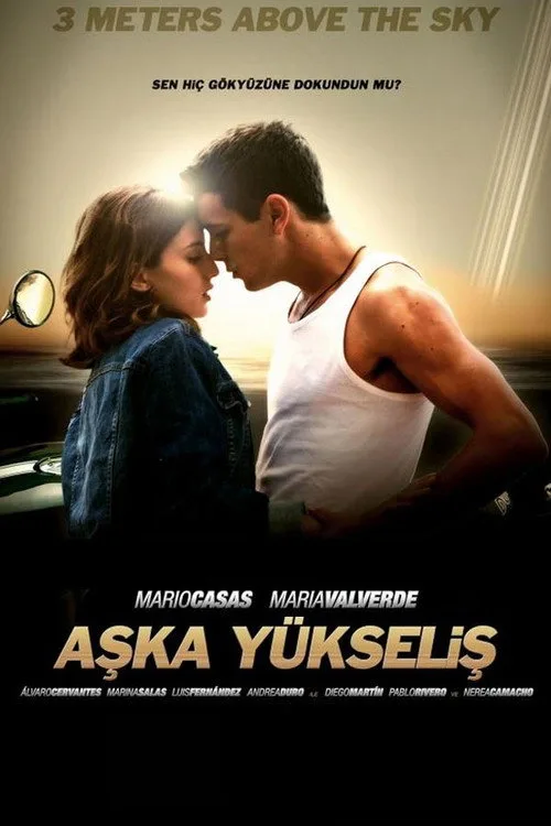Aşka Yükseliş film posteri