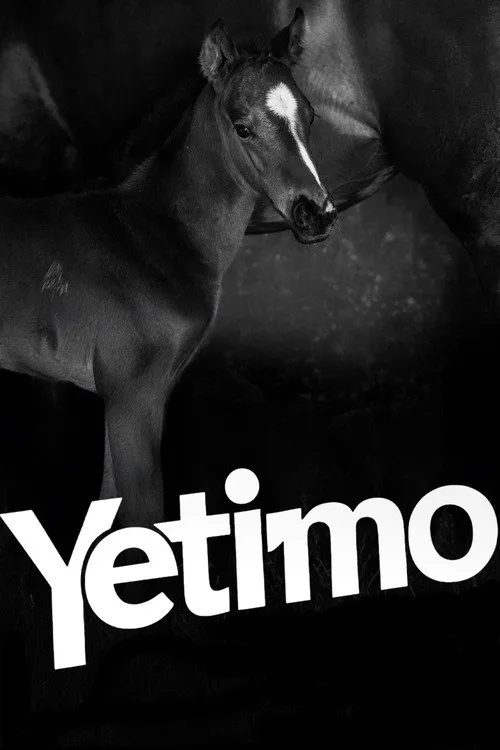 Yetimo film posteri