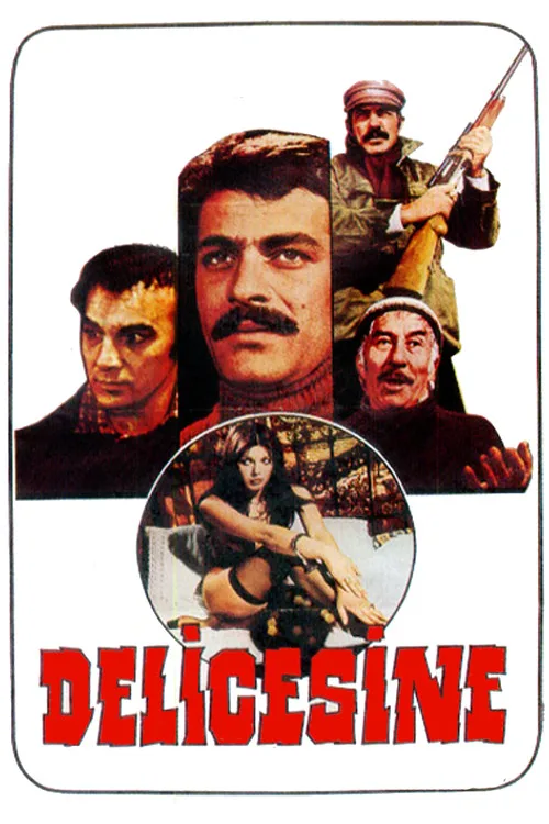 Delicesine film posteri