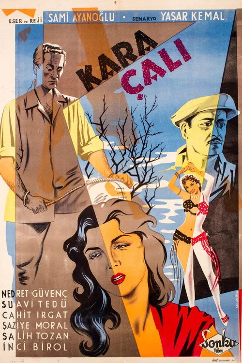 Kara Çalı film posteri