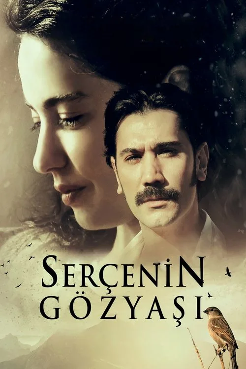 Serçenin Gözyaşı film posteri