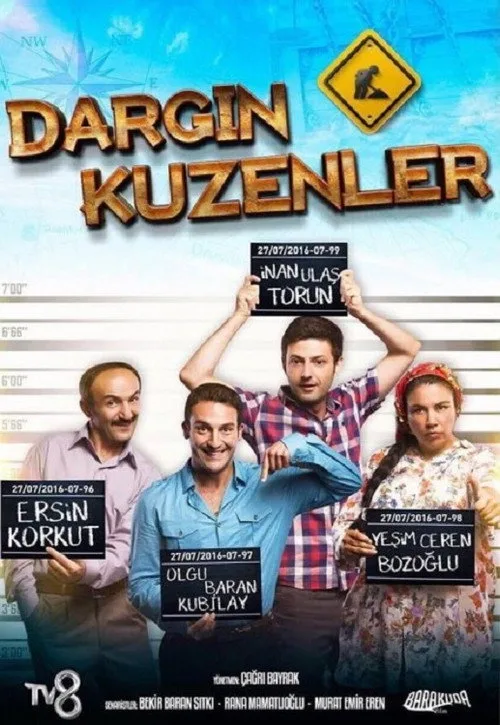 Dargın Kuzenler film posteri