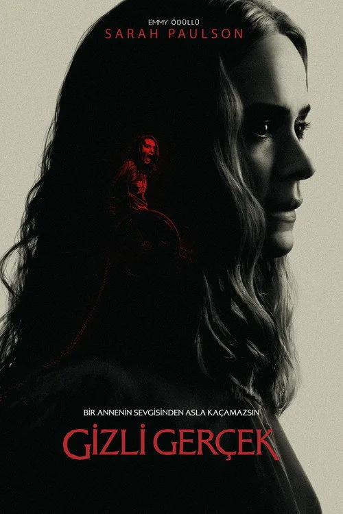 Gizli Gerçek film posteri