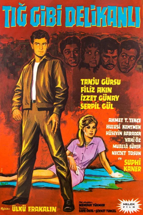 Tığ Gibi Delikanlı film posteri