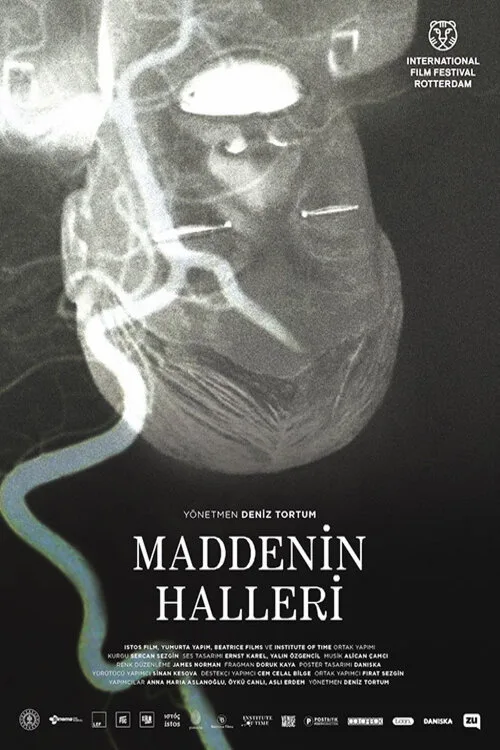 Maddenin Halleri film posteri