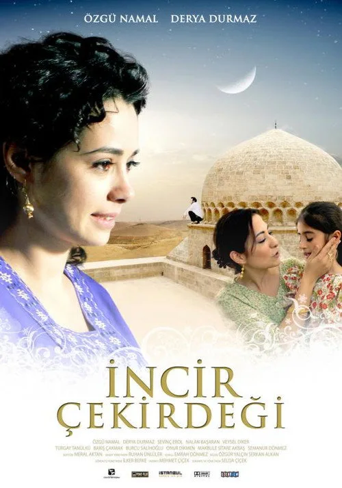 İncir Çekirdeği film posteri