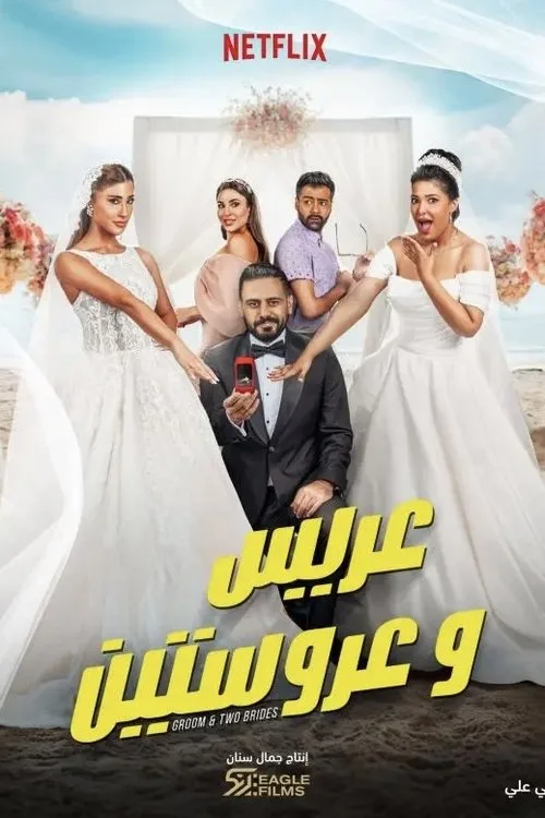 Bir Damat, İki Gelin film posteri