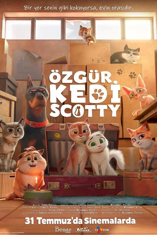 Özgür Kedi Scotty film posteri