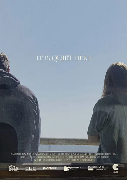 It Is Quiet Here film posteri