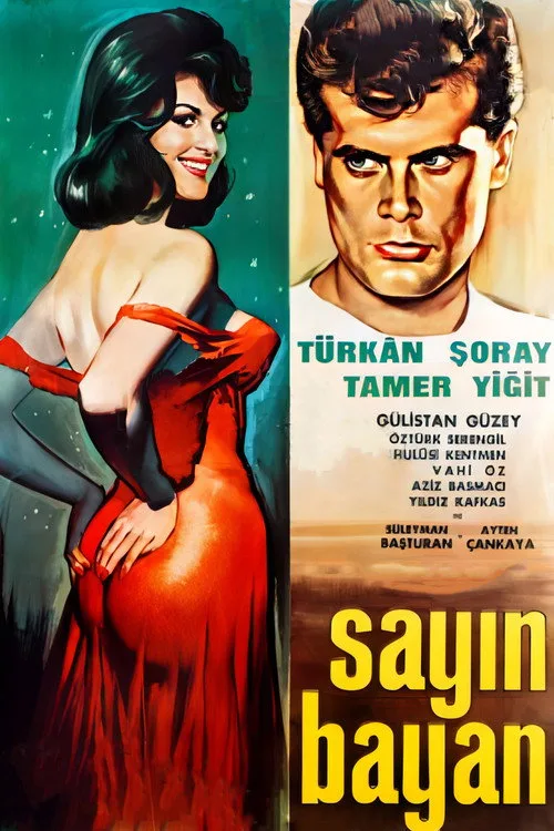 Sayın Bayan film posteri