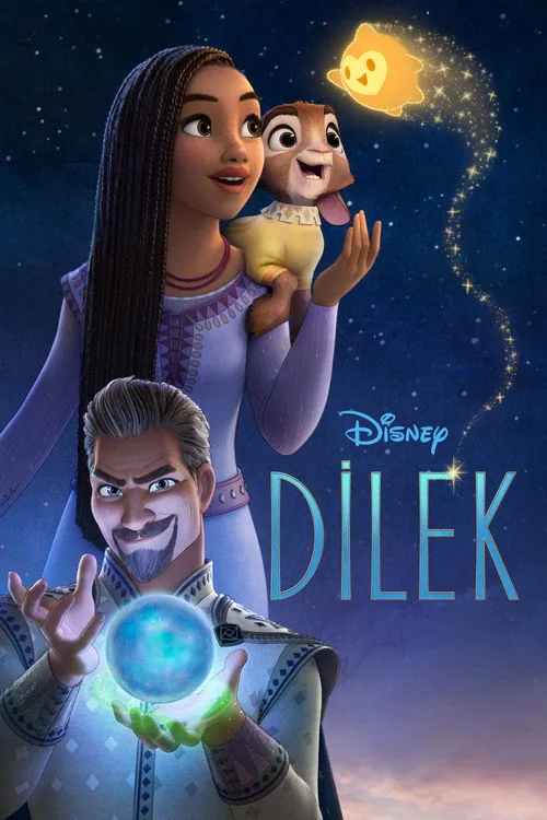 Dilek film posteri
