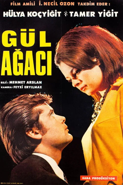 Gül Ağacı film posteri
