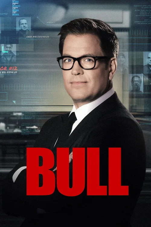 Bull dizi posteri