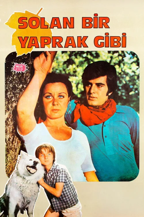 Solan Bir Yaprak Gibi film posteri