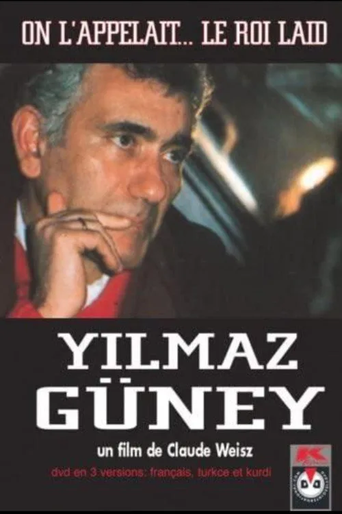 Ona çirkin kral derlerdi film posteri