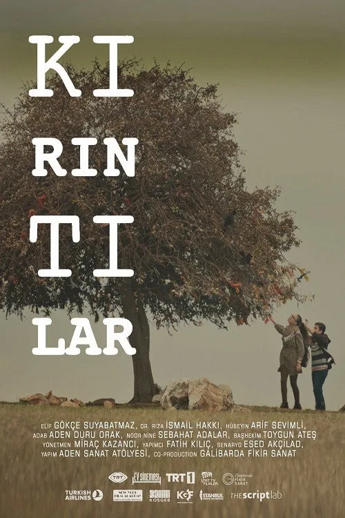 Kırıntılar film posteri