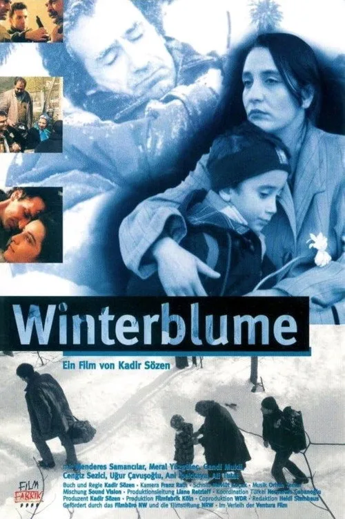 Kış Çiçeği film posteri