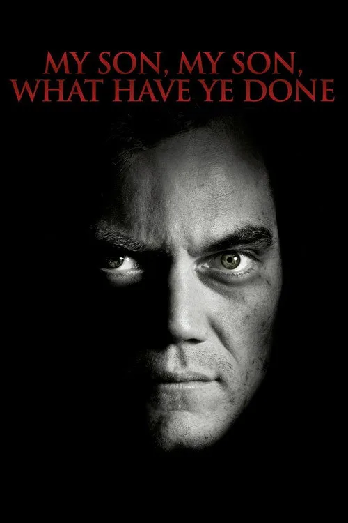 Benim Güzel Oğlum, Ne Yaptın Sen? film posteri