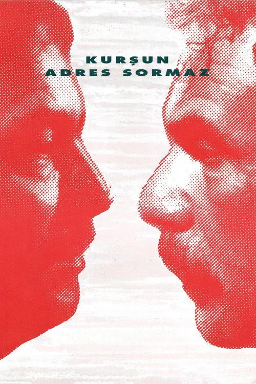 Kurşun Adres Sormaz film posteri