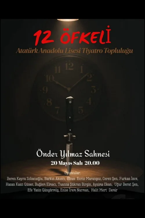12 Kızgın film posteri