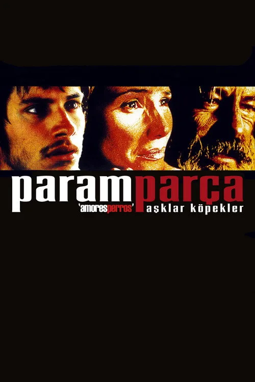 Paramparça Aşklar Köpekler film posteri